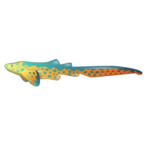 Parrotfish Zebra Shark